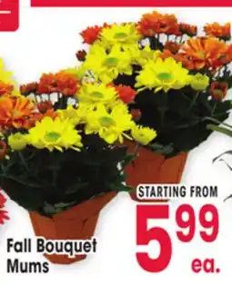 Jewel-Osco Fall Bouquet Mums offer