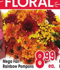 Jewel-Osco Mega Fall Rainbow Pompons offer