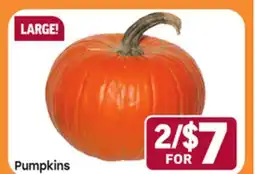 Tony’s Fresh Market Pumpkins offer