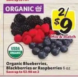 Winn Dixie Organic Blueberries, Blackberries or Raspberries offer