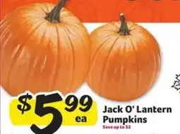 Winn Dixie Jack-O-Lantern Pumpkins offer