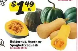 Winn Dixie Butternut, Acorn or Spaghetti Squash offer