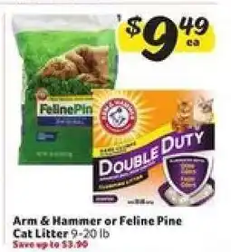 Winn Dixie Arm & Hammer or Feline Pine Cat Litter offer