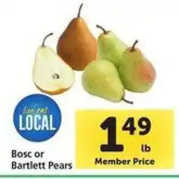 Safeway Bosc or Bartlett Pears offer