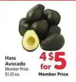 Safeway Hass Avocado offer