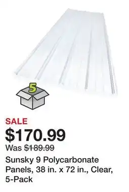 Tractor Supply Company Sunsky 9 Polycarbonate Panels, 38 in. x 72 in., Clear, 5-Pack offer