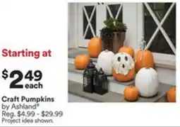 Michaels Craft Pumpkins offer
