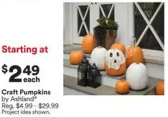 Michaels Craft Pumpkins offer