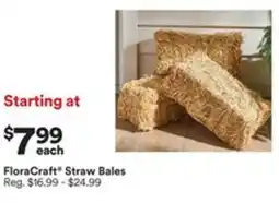 Michaels FloraCraft Straw Bales offer