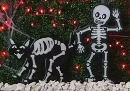 Family Dollar Glow in the Dark or Skeleton Bones Yard Stakes offer