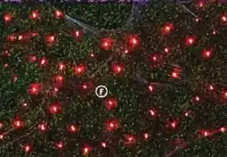Family Dollar Garland Light Sets offer