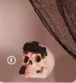 Family Dollar Floral Skull Décor offer