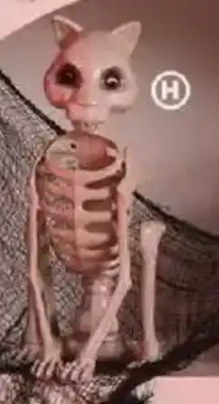Family Dollar Animal Skeleton Décor offer