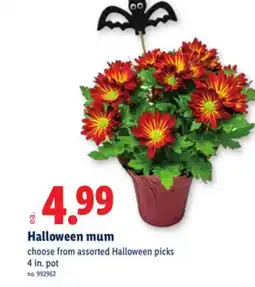 Lidl Halloween mum offer