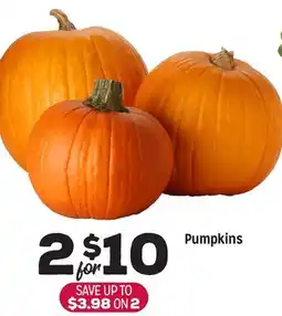 Grocery Outlet Pumpkins offer