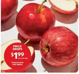 Aldi Pennsylvania Gala Apples offer