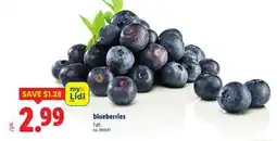 Lidl blueberries offer