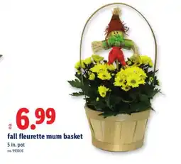 Lidl fall fleurette mum basket offer