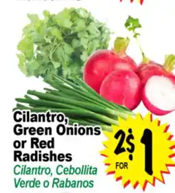 Superior Grocers Cilantro, Green Onions or Red Radishes offer
