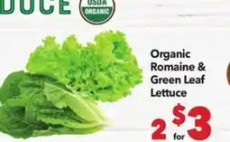 Vallarta Supermarkets Organic Romaine & Green Leaf Lettuce offer