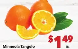 Vallarta Supermarkets Minneola Tangelo offer