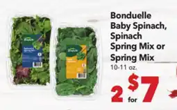 Vallarta Supermarkets Bonduelle Baby Spinach, Spinach Spring Mix or Spring Mix offer