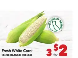Vallarta Supermarkets Fresh White Corn / ELOTE BLANCO FRESCO offer