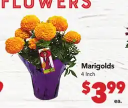 Vallarta Supermarkets Marigolds offer