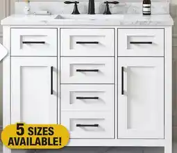 Menards Vanity with Top offer