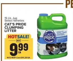 Food Lion Cat's Pride Clumping Litter offer