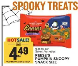 Food Lion REESE’S PUMPKIN SNOOPY SNACK SIZE offer