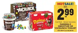 Food Lion Danimals Smoothie or YoCrunch Yogurt offer