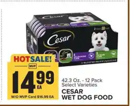 Food Lion Cesar Wet Dog Food offer