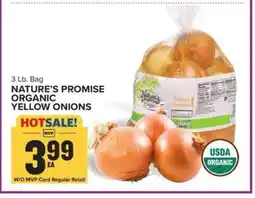 Food Lion Nature's Promise Organic Yellow Onions offer