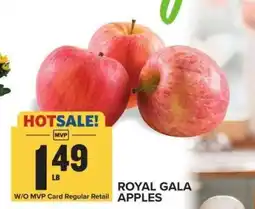 Food Lion ROYAL GALA APPLES offer