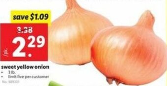 Lidl Sweet Yellow Onion offer