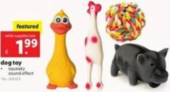 Lidl Dog Toy offer