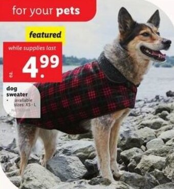 Lidl Dog Sweater offer