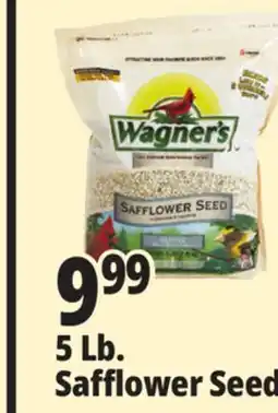 Ocean State Job Lot Wagner's Safflower Seed Deluxe Wild Bird Food offer