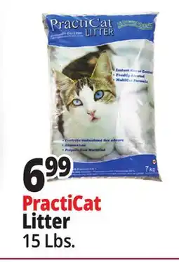 Ocean State Job Lot Premium Scoopable Cat Litter 15 lbs offer