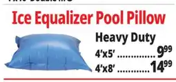 Ocean State Job Lot Pool Pillow offer