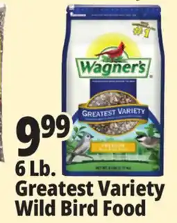 Ocean State Job Lot Wagner's Greatest Variety Deluxe Wild Bird Food 6 lbs offer