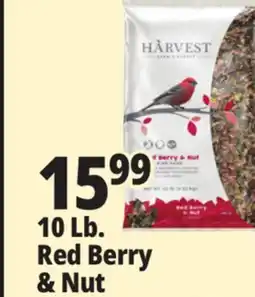 Ocean State Job Lot Harvest Seed & Supply Red Berry & Nut Wild Bird Food 10 lb offer