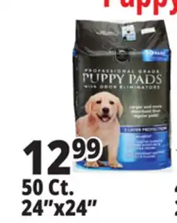 Ocean State Job Lot 24x24 Puppy Pads with Odor Eliminators 50 Count offer
