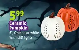 Ocean State Job Lot Ceramic Pumpkins offer