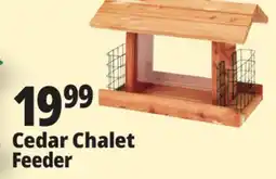 Ocean State Job Lot Cedar Chalet Feeder offer