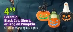 Ocean State Job Lot Ceramic Black Cat, Ghost, or Frog on Pumpkin offer