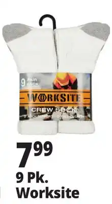 Ocean State Job Lot 9 Pk. Worksite offer