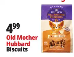 Ocean State Job Lot Old Mother Hubbard p-nuttier Mini Dog Biscuits 20 oz offer