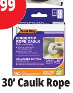 Ocean State Job Lot Frost King Indoor/Outdoor Fingertip Rope Caulk 3/16 x 30' offer